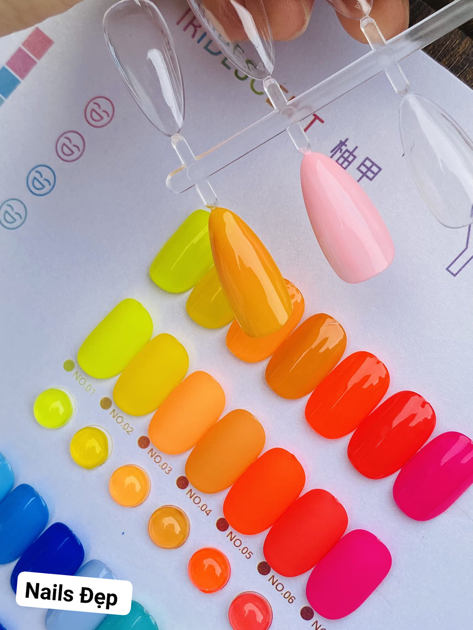 Set gel màu neon YuuJa ( 22 màu)