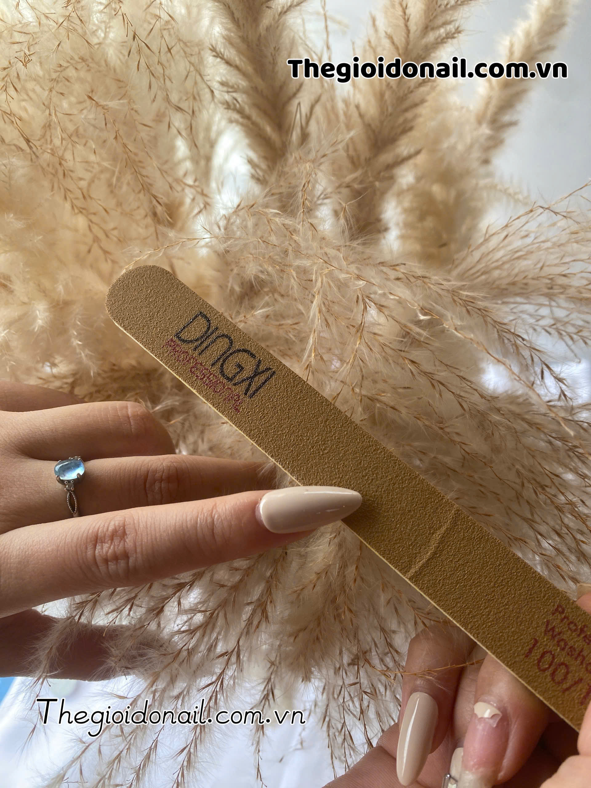 Dũa Dày Vỉ 25 DINGXI vàng Cây 100/180 - Thẳng