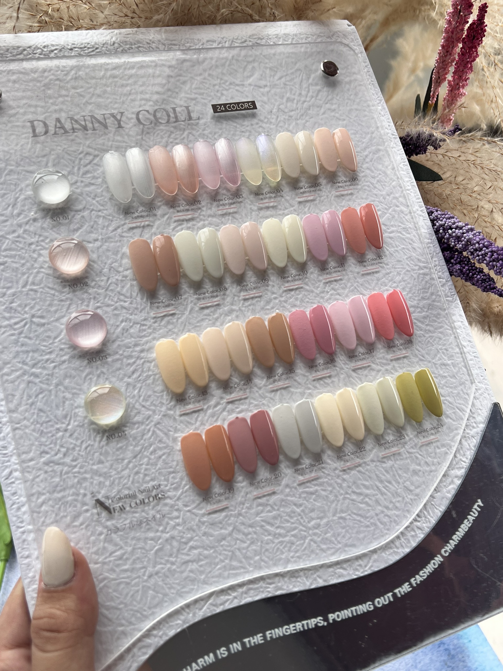 Set sơn nude Danny Coll ( 24 màu )