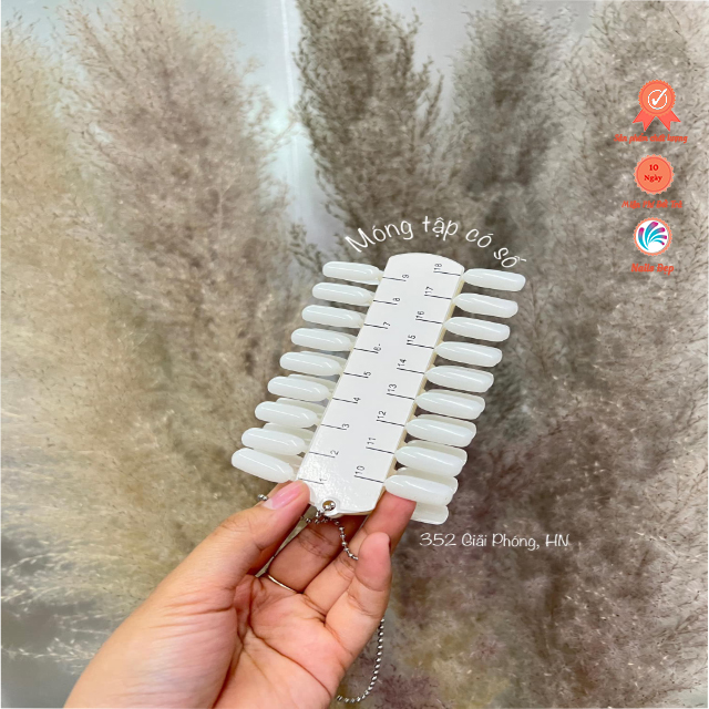 Móng tập có số