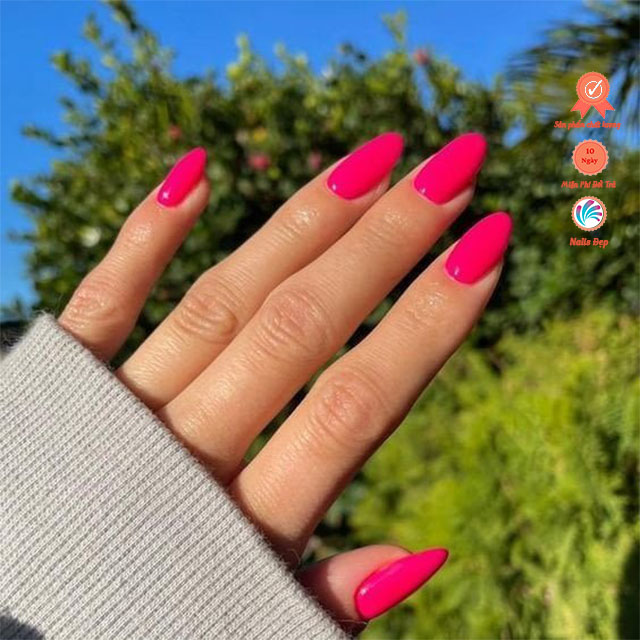 Sơn gel HoneyGirl #13