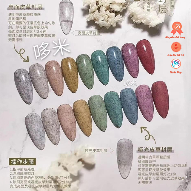 Top Lông Lỳ
