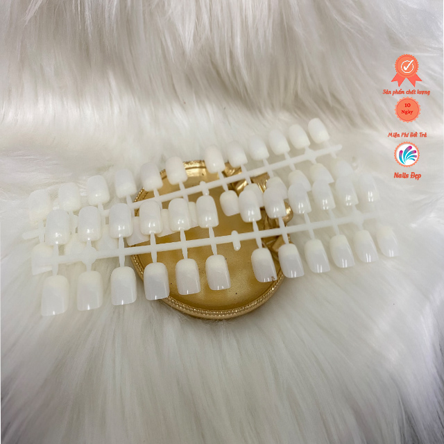 Móng Thanh Fom Vuông - Đục (10 thanh)