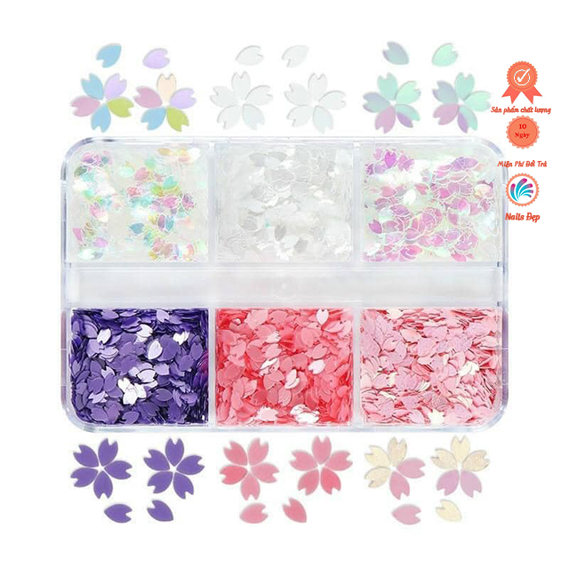 Set hoa Sakura mix màu