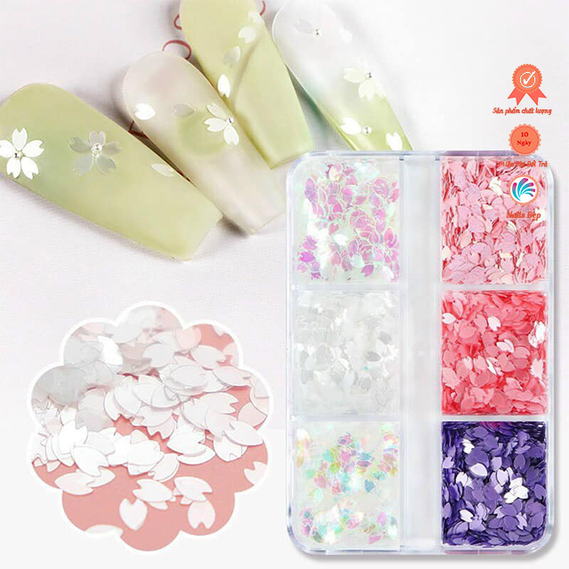 Set hoa Sakura mix màu