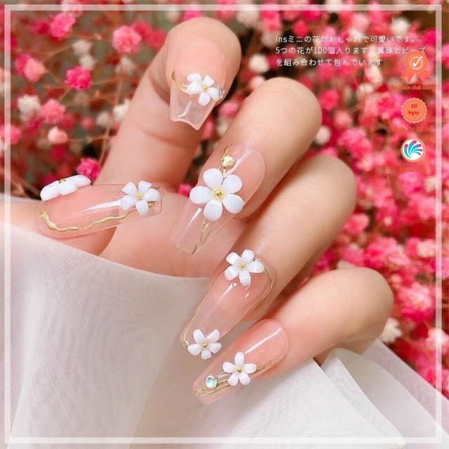 Set hoa nhí mix màu