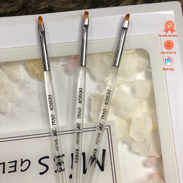 Cọ bản vuông size 2