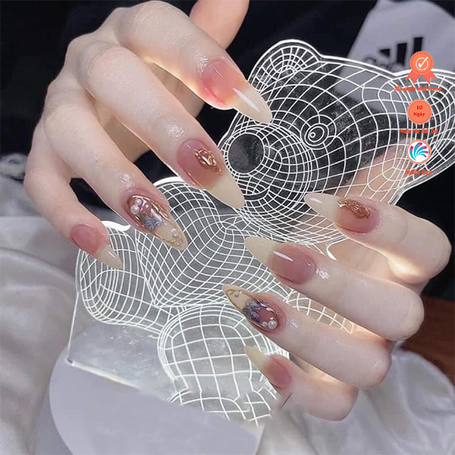 Đèn gấu