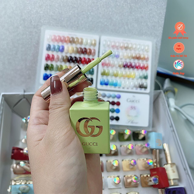 Set sơn 55 màu gấu Gucci