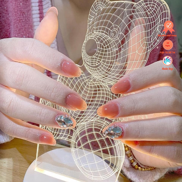 Đèn gấu