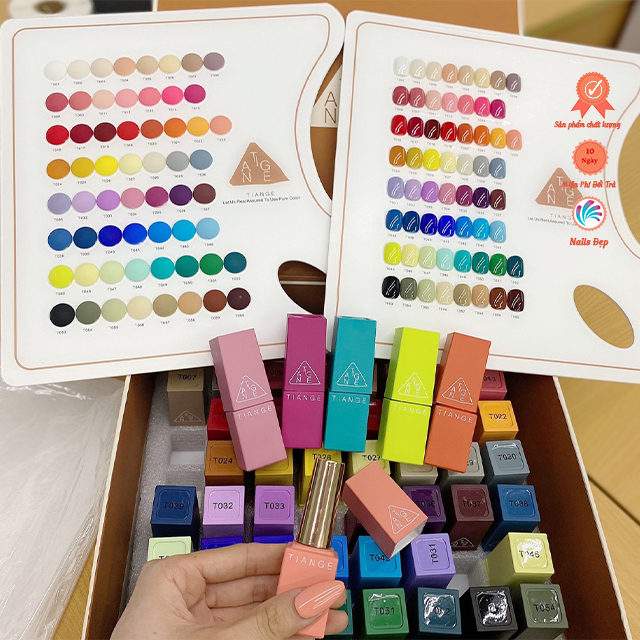 Set sơn TIANGE THE NAIL (60 màu)