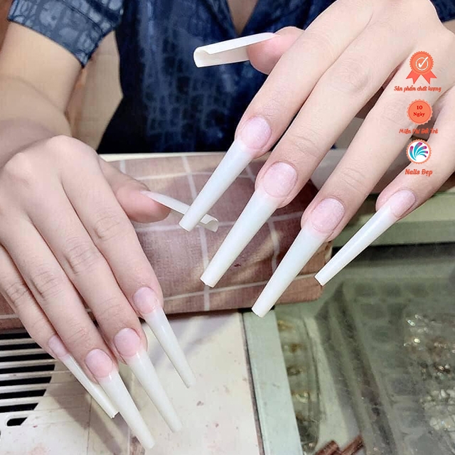 Túi móng nối hình thang - Đục