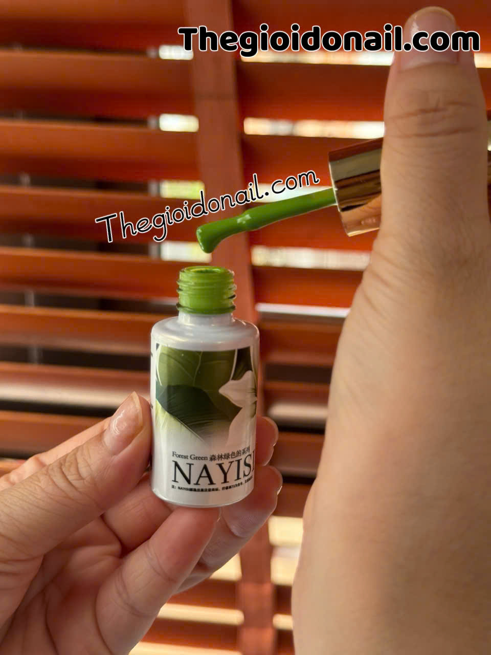 Sơn gel NAYISI (10 màu) - xanh lá (mẫu mới)