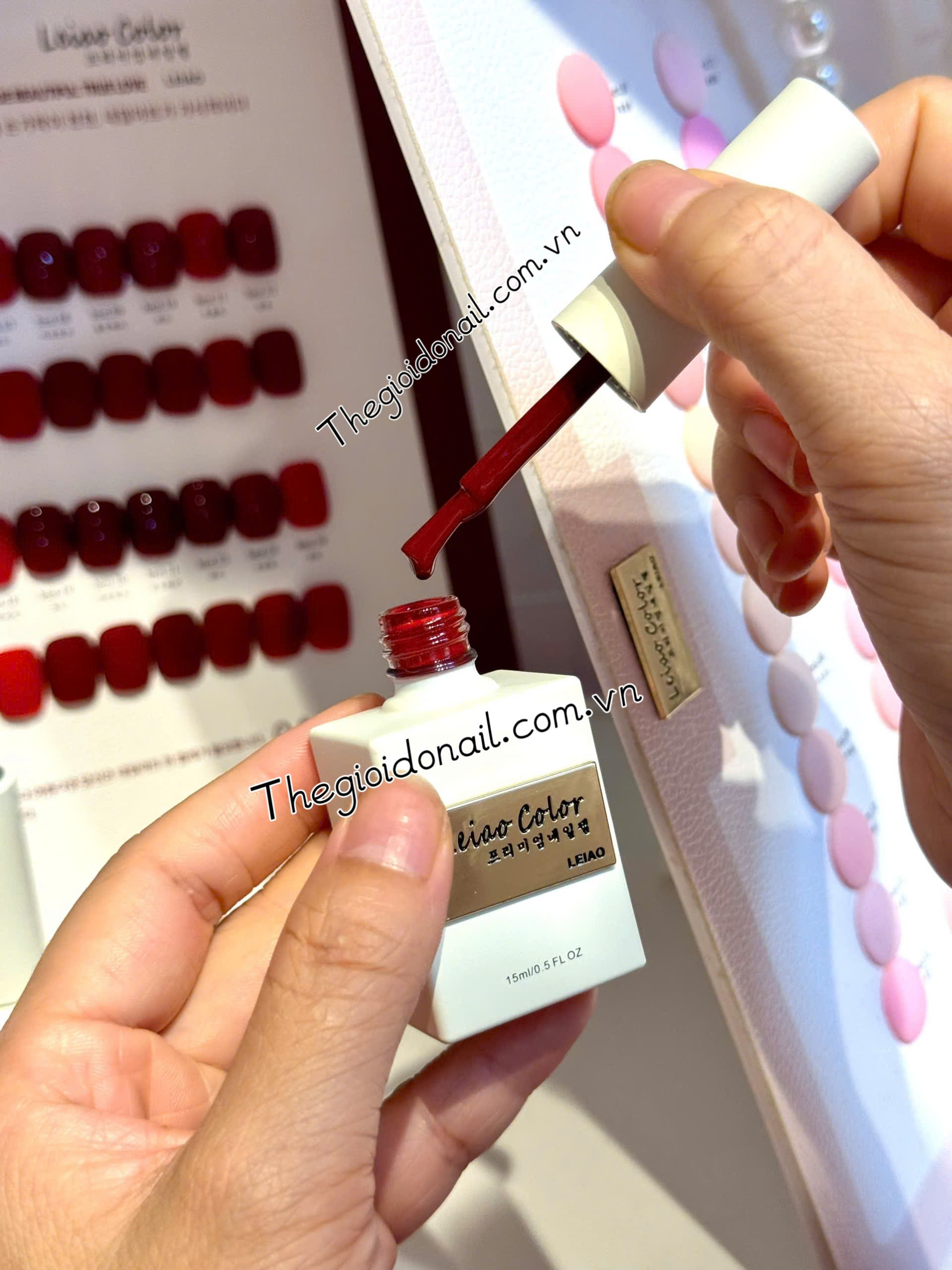 Set sơn đỏ đậm Leiao ( 24 màu) A04