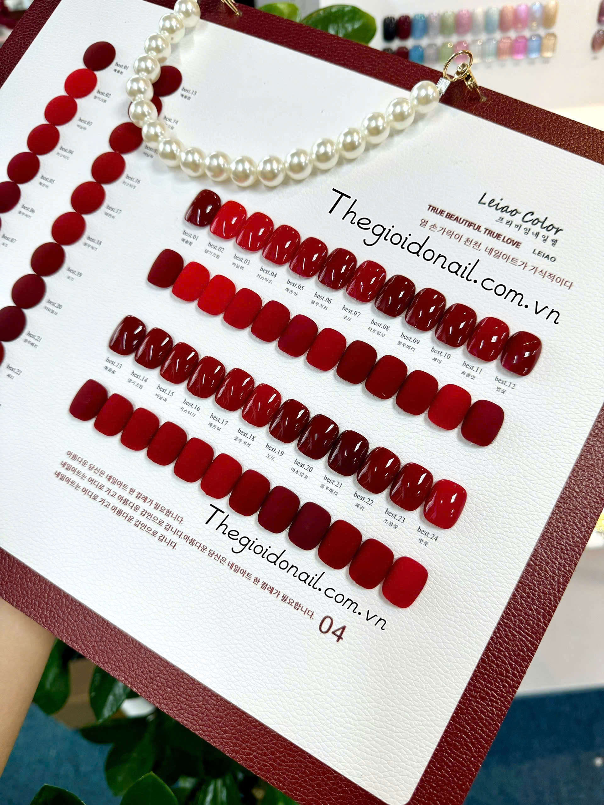 Set sơn đỏ đậm Leiao ( 24 màu) A04