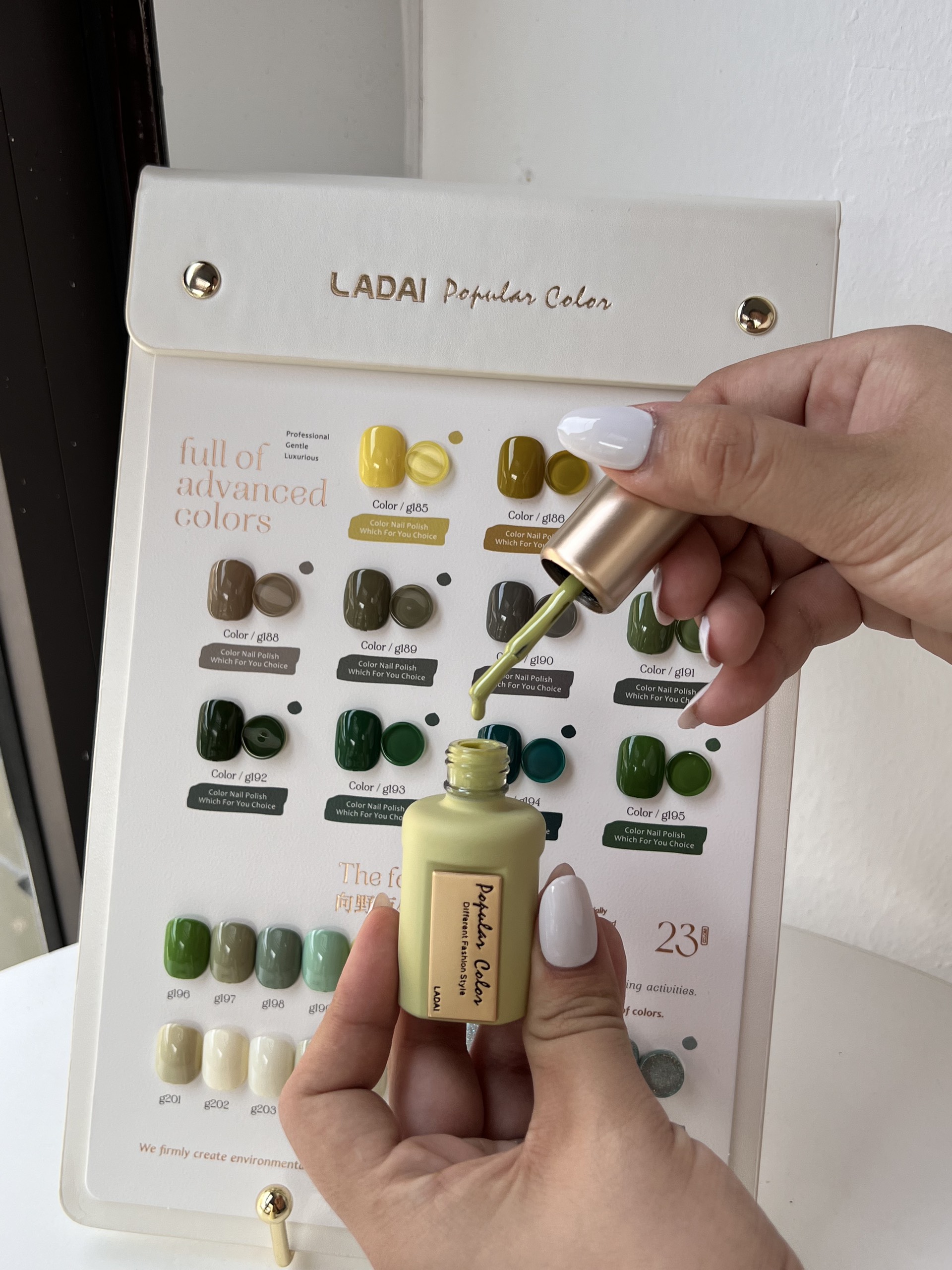 Set sơn Ladai 368M (set nhỏ 23 màu) - mã 09