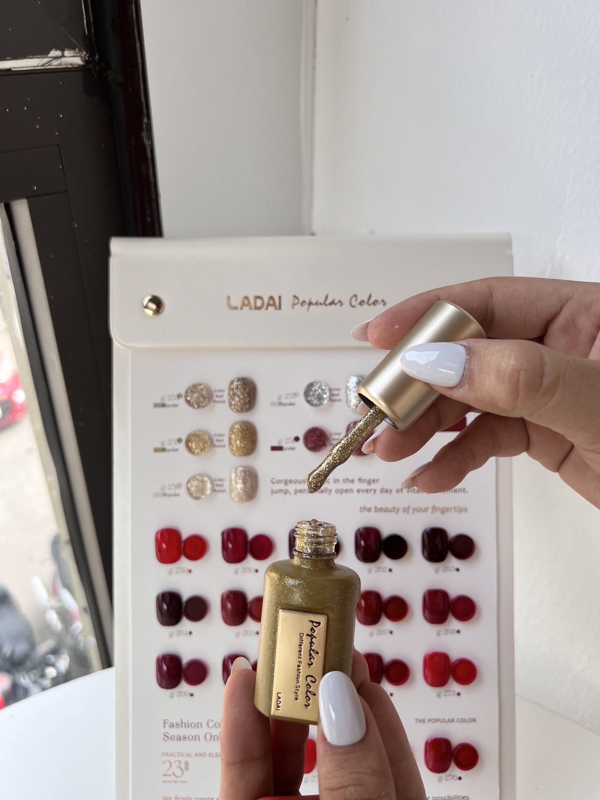 Set sơn Ladai 368M (set nhỏ 23 màu) - mã 12