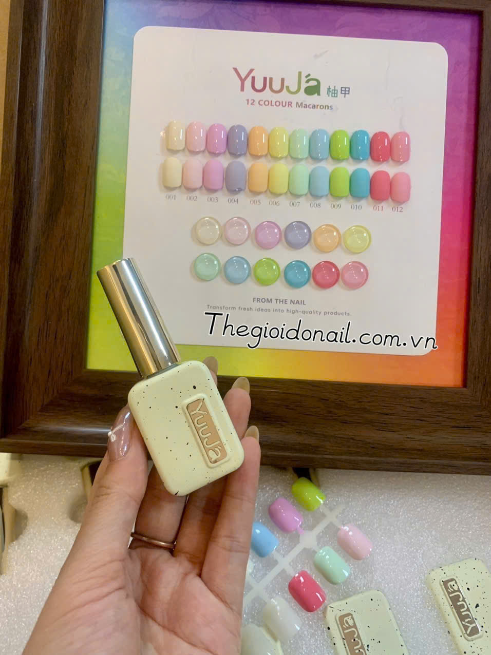 Set sơn Pastel Yuuja ( 12 màu)