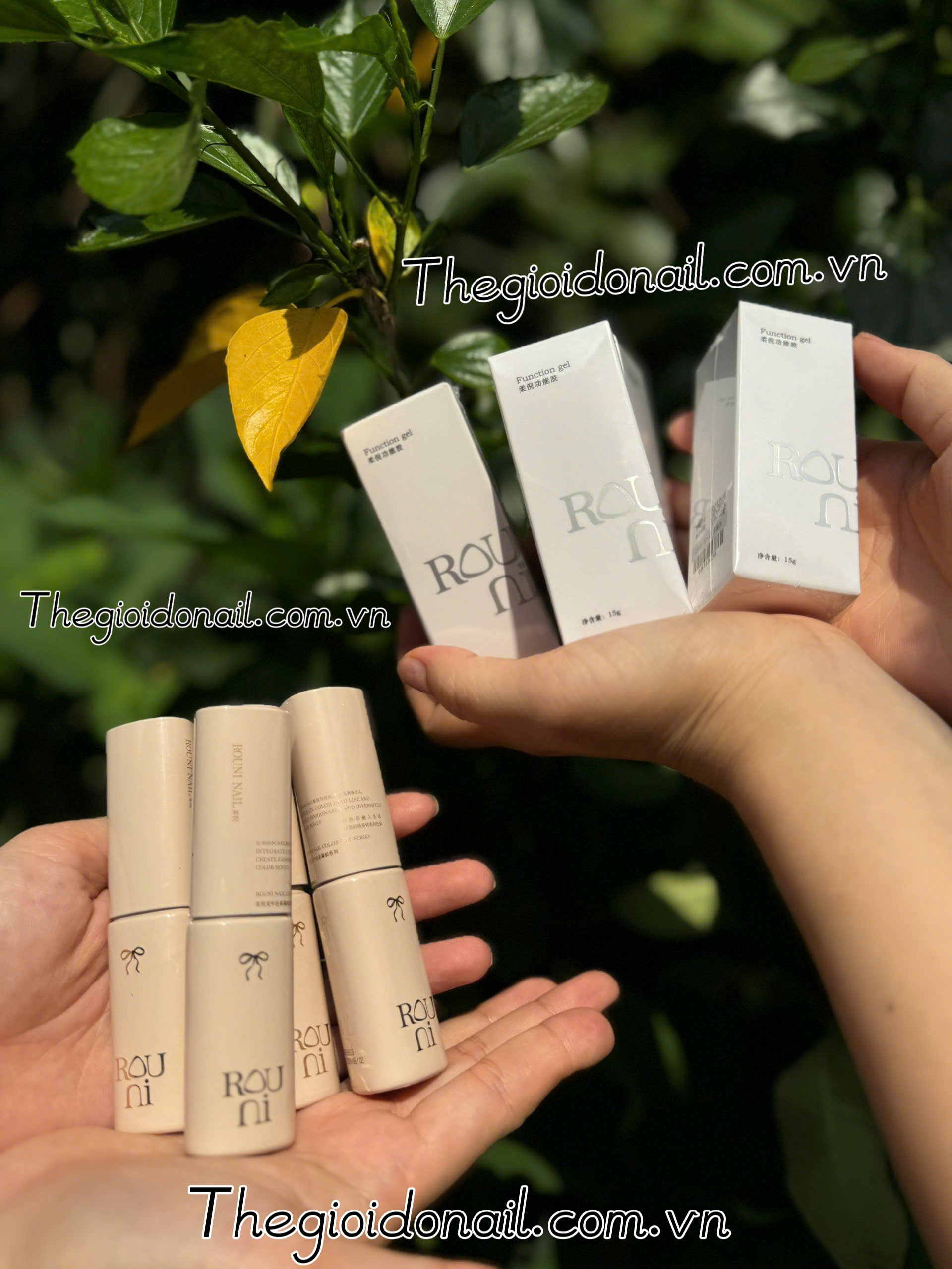 Set sơn Rouni 168 màu