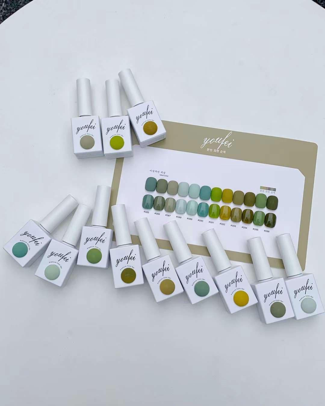 Set sơn cao cấp YOUFEI (12 màu) - 85