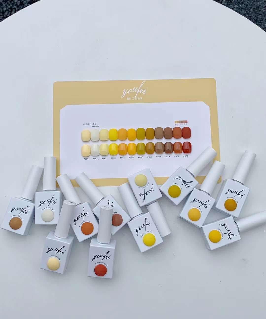 Set sơn cao cấp YOUFEI (12 màu) - 61