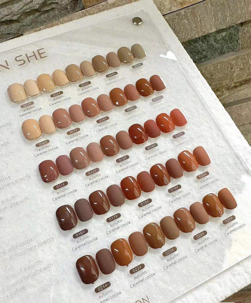 Set sơn nâu Jiao ( 25 màu) +tặng kèm bảng màu