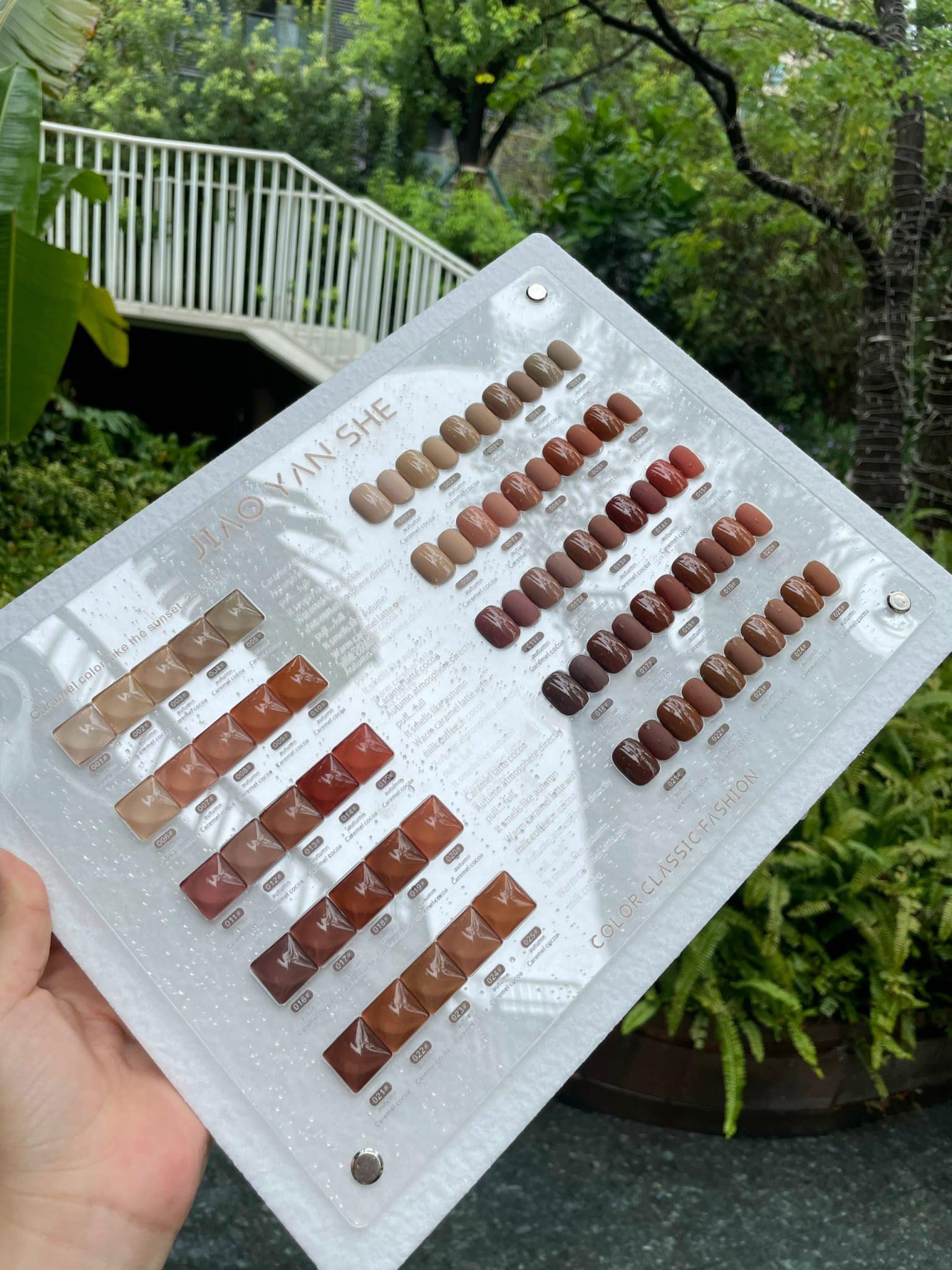 Set sơn nâu Jiao ( 25 màu) +tặng kèm bảng màu