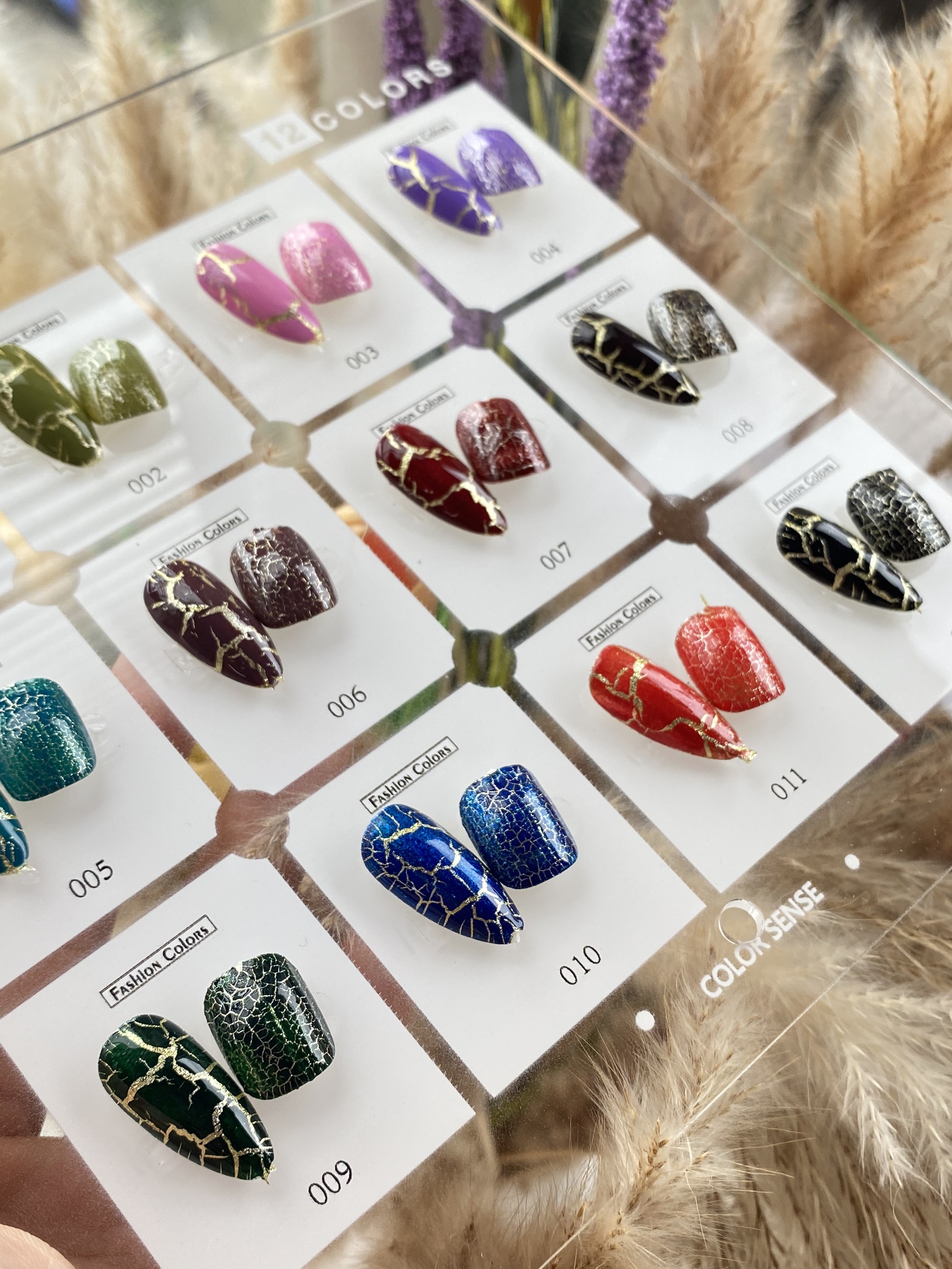 Set sơn nứt Vendeen 12 màu