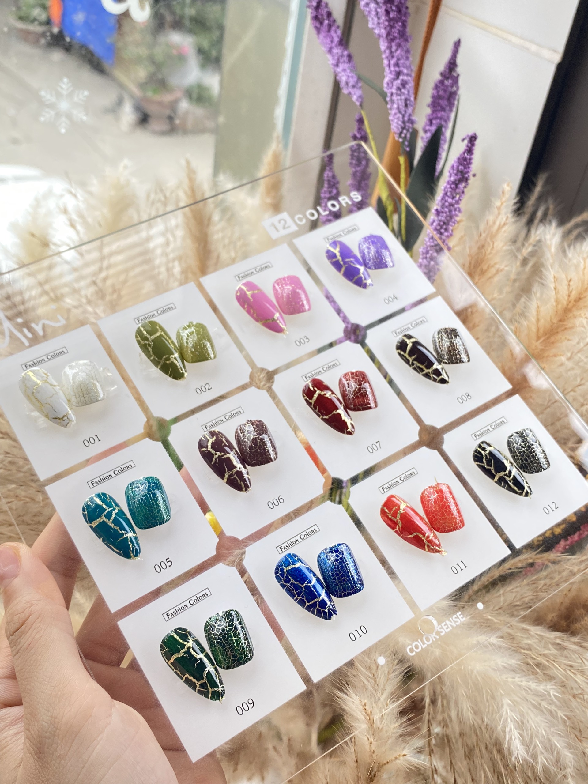 Set sơn nứt Vendeen 12 màu