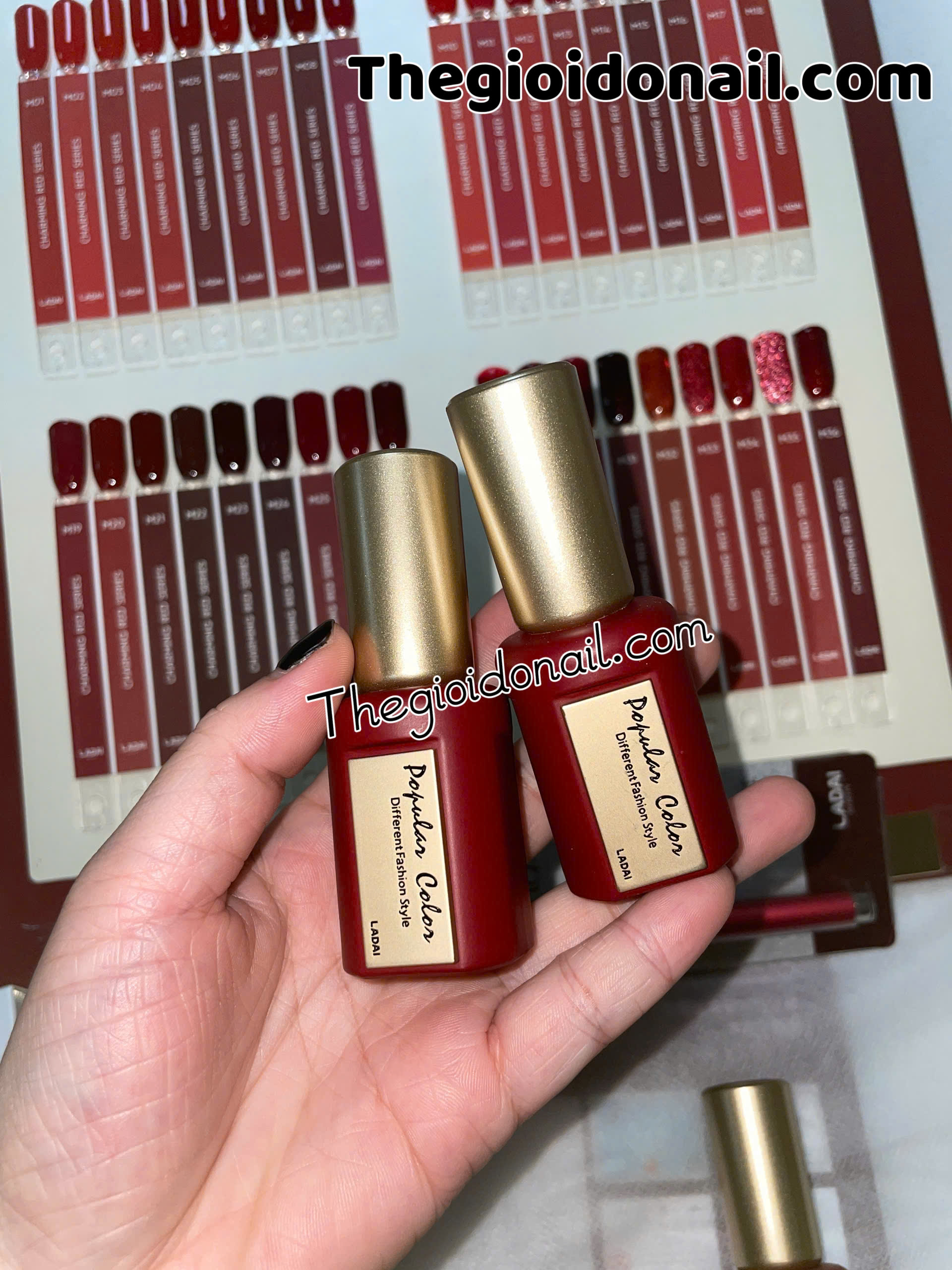 Set sơn đỏ Ladai 36 màu