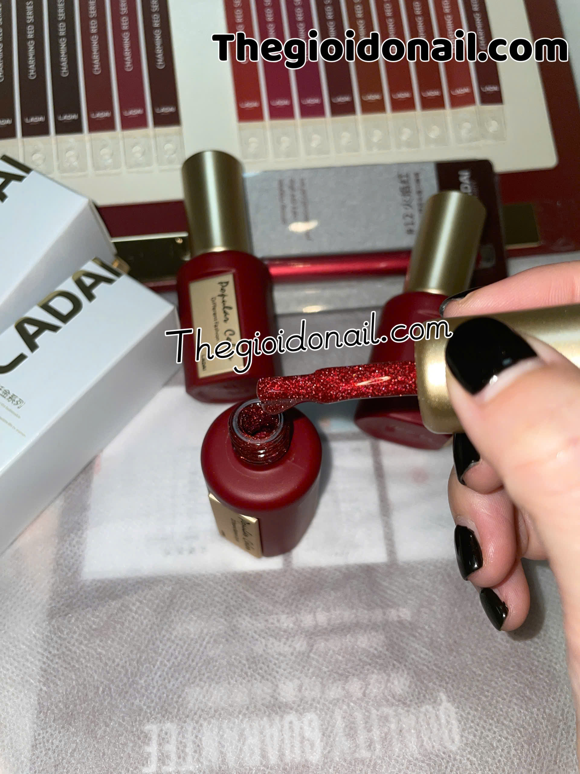 Set sơn đỏ Ladai 36 màu