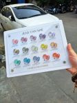 Set gel nhũ Flash Khổng Tước JYS ( 15 màu)