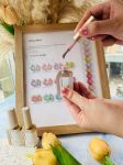 Set mắt mèo cầu vồng DANZHIHE  (12 màu)