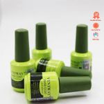 Base Gel Vinimay