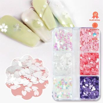 Set hoa Sakura mix màu