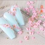 Set hoa nhí mix màu