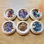 Set bướm giấy