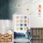 Set thạch Green 12 màu