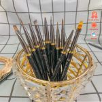 Bộ cọ nhật 10 cây B