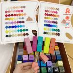 Set sơn TIANGE THE NAIL (60 màu)