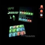 Set gel cọ nét nhũ Flash Neon (12 màu)