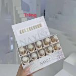 Sơn gel NAYISI (10 màu) - trắng
