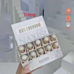 Sơn gel NAYISI (10 màu) - trắng