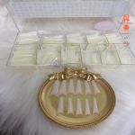 Hộp móng tip phom thang  (đục)