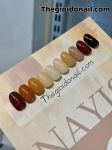 Sơn gel NAYISI (10 màu) - nâu (mẫu mới)