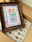 Set gel màu Pastel YuuJa ( 24 màu)