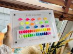 Set neon 16 màu JYS