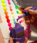 Set sơn Neon Leiao ( 24 màu) A02