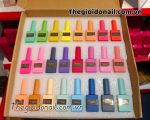 Set sơn Neon Leiao ( 24 màu) A02