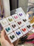 Set sơn nứt Vendeen 12 màu